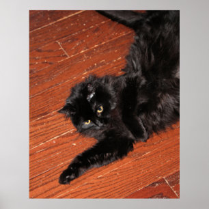 Stretch    poster