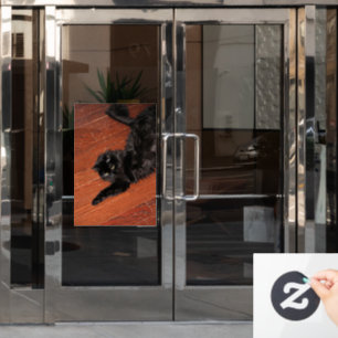 Stretch Window Cling