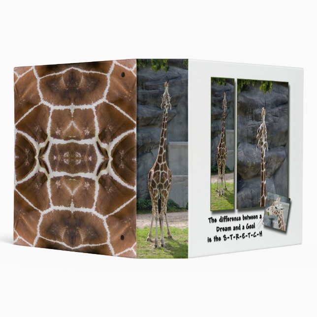 Stretch Yourself Binder (Background)