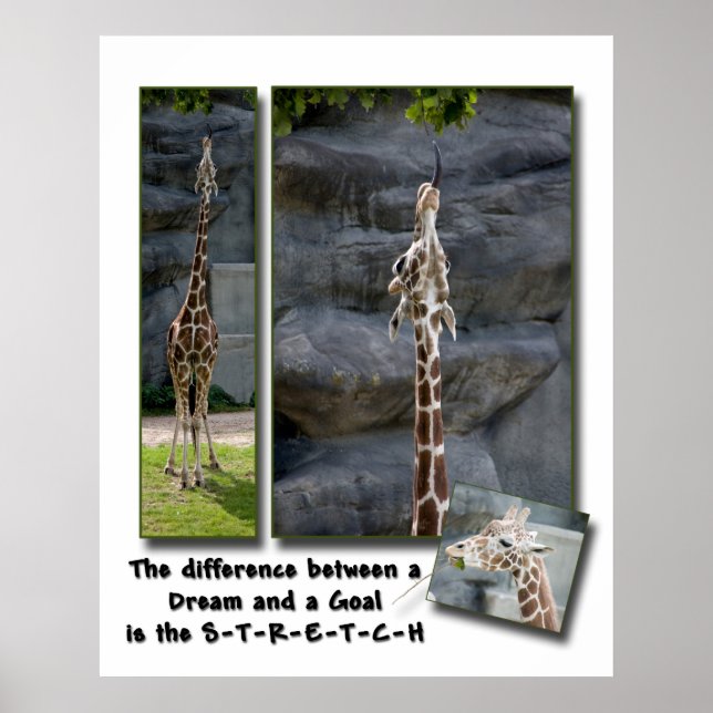 Stretch Yourself Poster (Front)