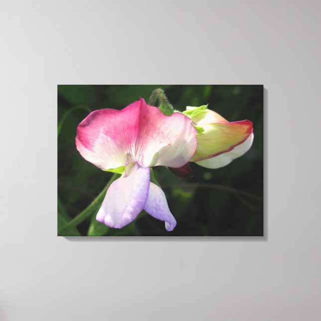 Stretched Canvas Print (Front)