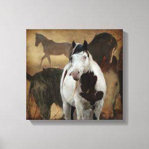 Stretched Canvas Print