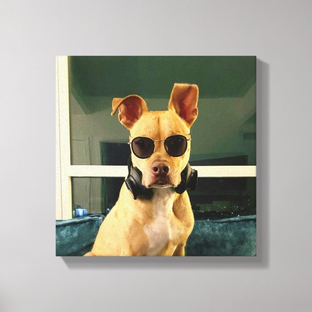 Stretched Canvas Print (Front)