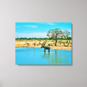 Stretched Canvas Print