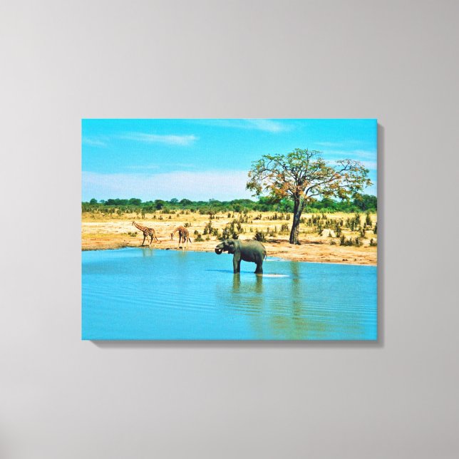 Stretched Canvas Print (Front)