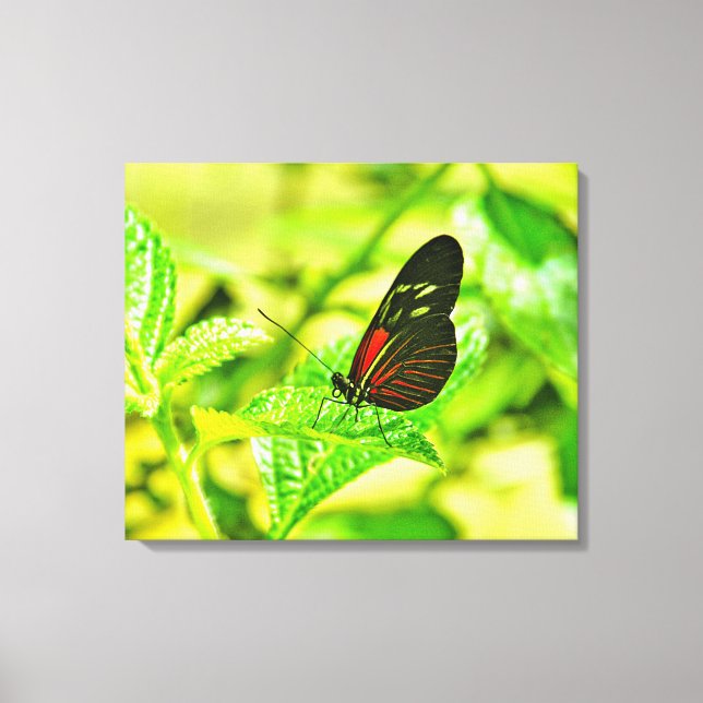 Stretched Canvas Print (Front)