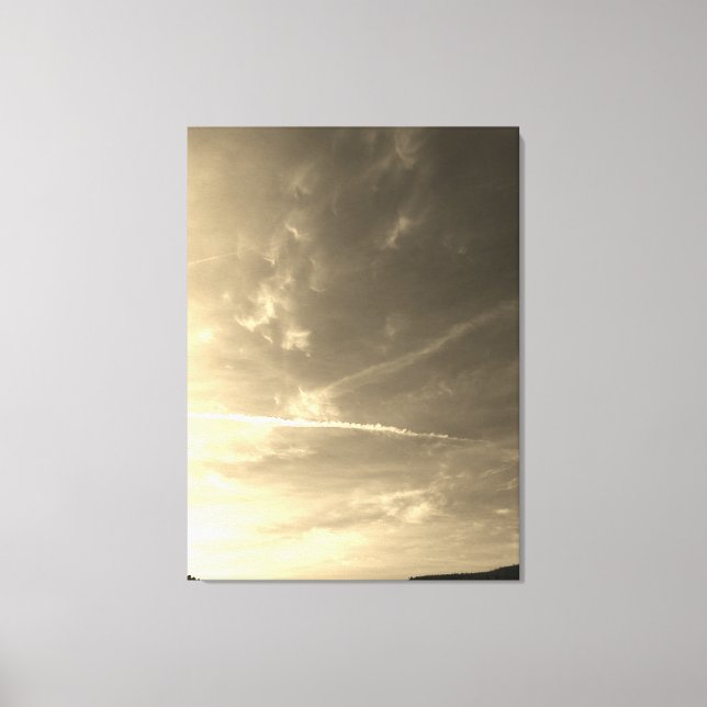 Stretched Canvas Print (Front)