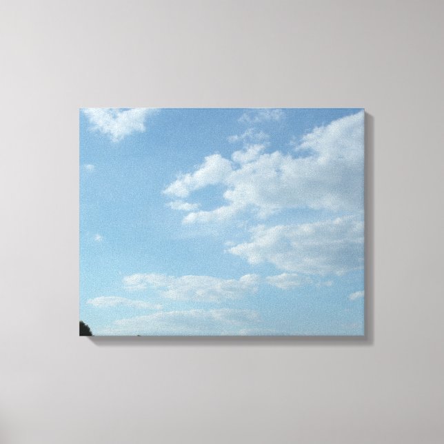 Stretched Canvas Print (Front)