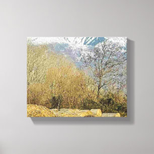 Stretched Canvas Print 