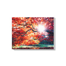 Stretched Canvas Print
