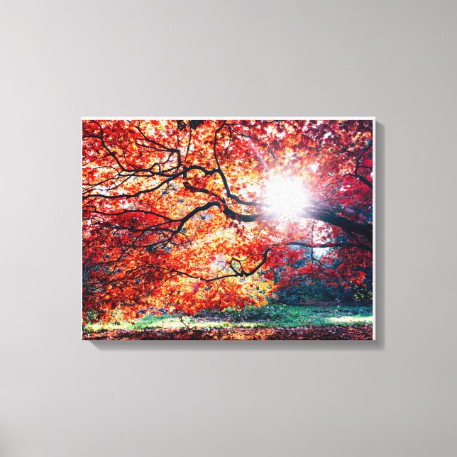 Stretched Canvas Print (Front)