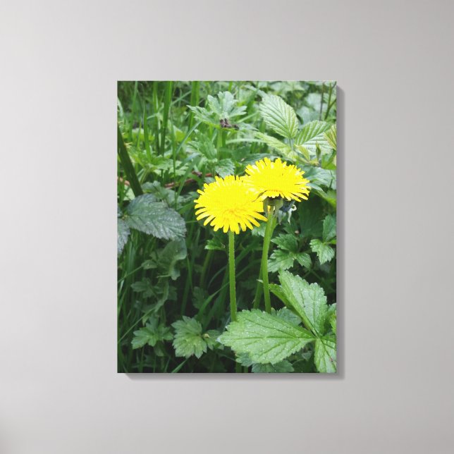Stretched Canvas Print (Front)