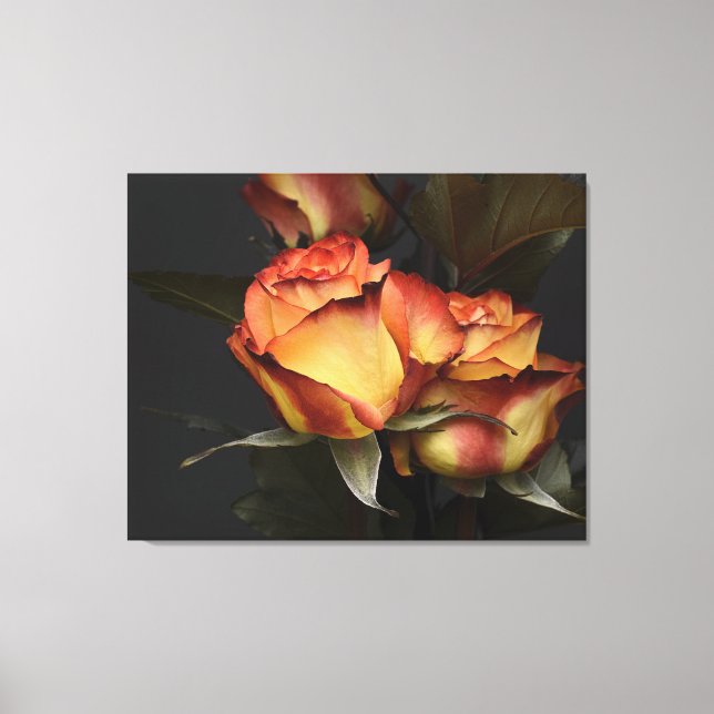 Stretched Canvas Print (Front)