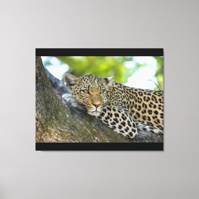 Stretched Canvas Print (Front)