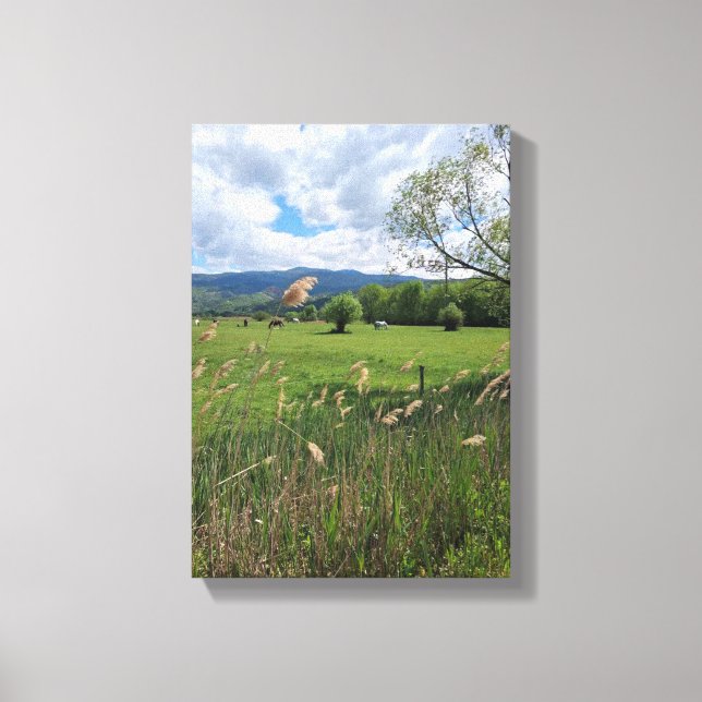 Stretched Canvas Print (Front)