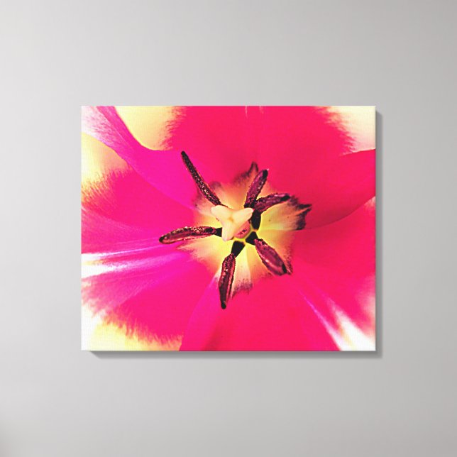 Stretched Canvas Print (Front)