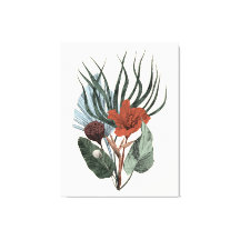 Stretched Canvas Print Elegant Vintage Botanical A