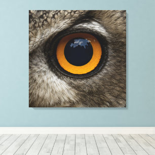Stretched Canvas Print of A Close UP Owl's Eye