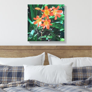  Stretched Canvas Print. Out in Nature Print
