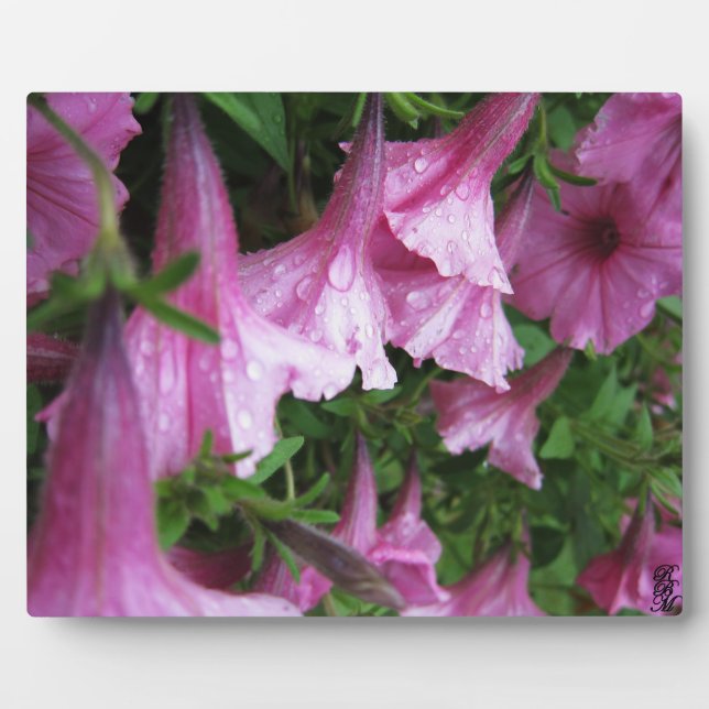 Stretched Canvas Print Plaque (Front)