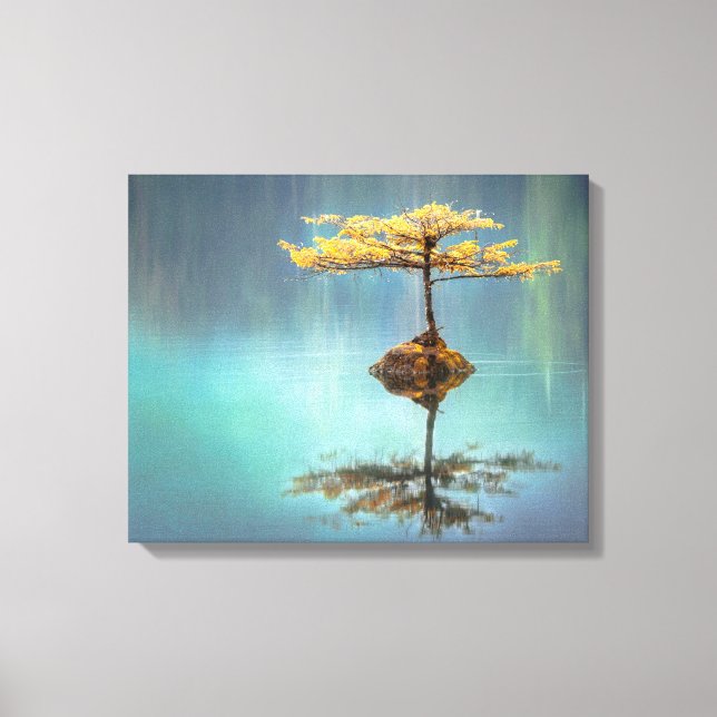 STRETCHED CANVAS PRINT : TREE ON AN ISLAND (Front)