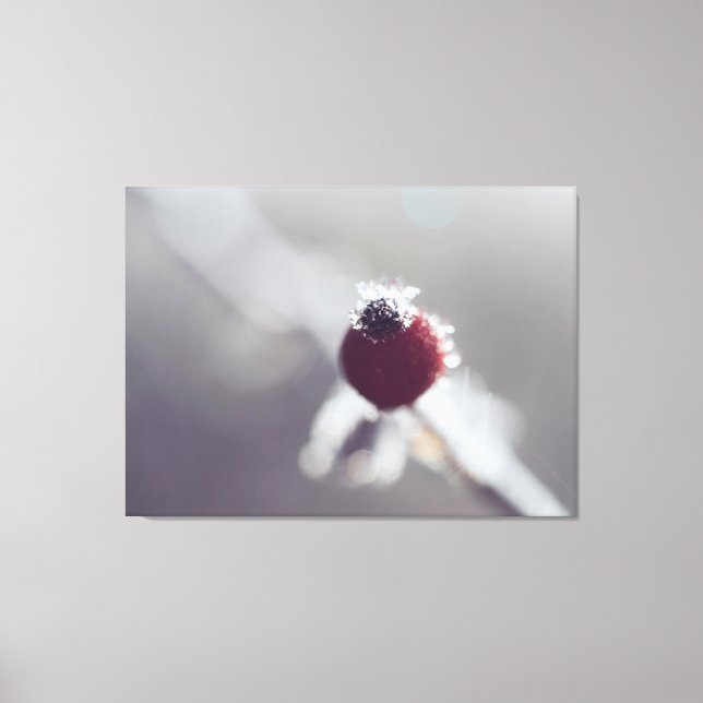 Stretched Canvas Print - Winter Berry (Front)