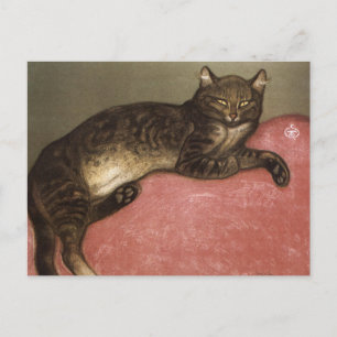 Stretched Cat on Sofa - by Theophile Steinlen Postcard