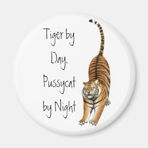 Stretching Bengal Tiger Magnet