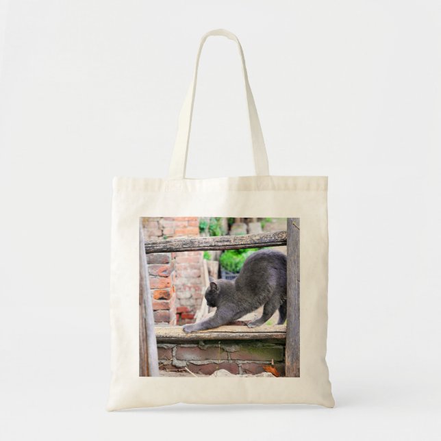 Stretching cat tote bag (Front)