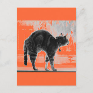 Stretching Indigo Pencil Postcard