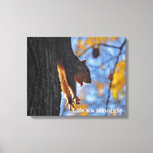 Stretching Squirrel Canvas Print