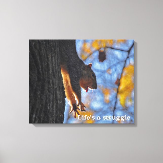 Stretching Squirrel Canvas Print (Front)
