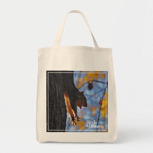 Stretching Squirrel Tote Bag (Front)