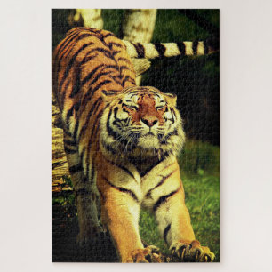 Stretching Tiger Jigsaw Puzzle