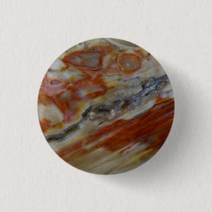 Striated Petrified Wood 1 Inch Round Button