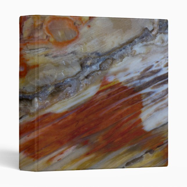Striated Petrified Wood Binder (Front/Spine)