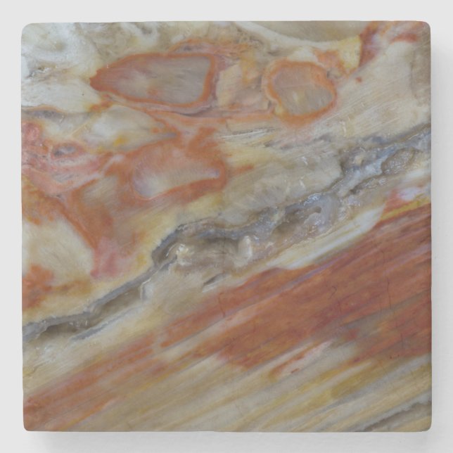 Striated Petrified Wood Stone Coaster (Front)