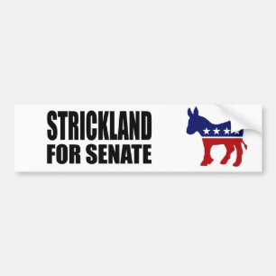 STRICKLAND 2010 BUMPER STICKER