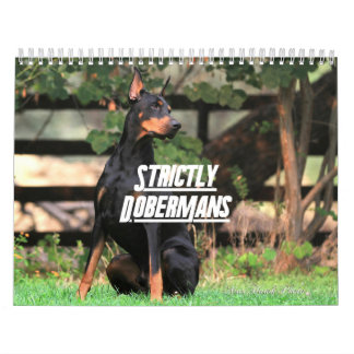 Strictly Dobermans Calendar 2026