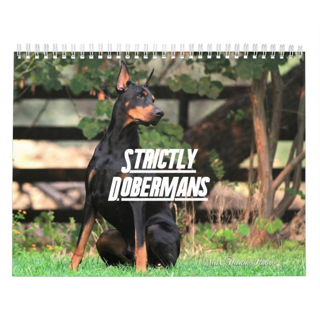 Strictly Dobermans Calendar 2026 (Cover)