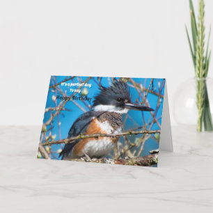 Striking Bird Pose Birthday Card