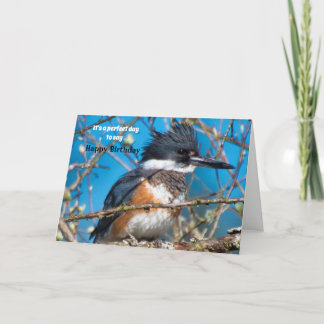 Striking Bird Pose Birthday Card