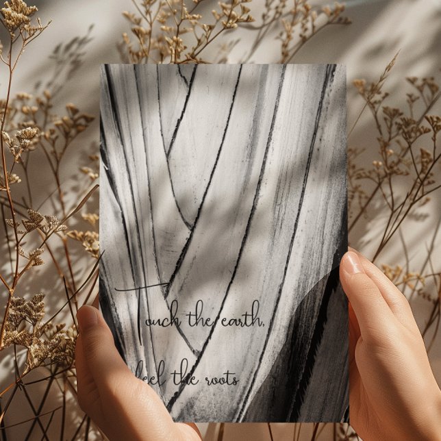 Striking Black and White Banana Bark Art Postcard (Creator Uploaded)