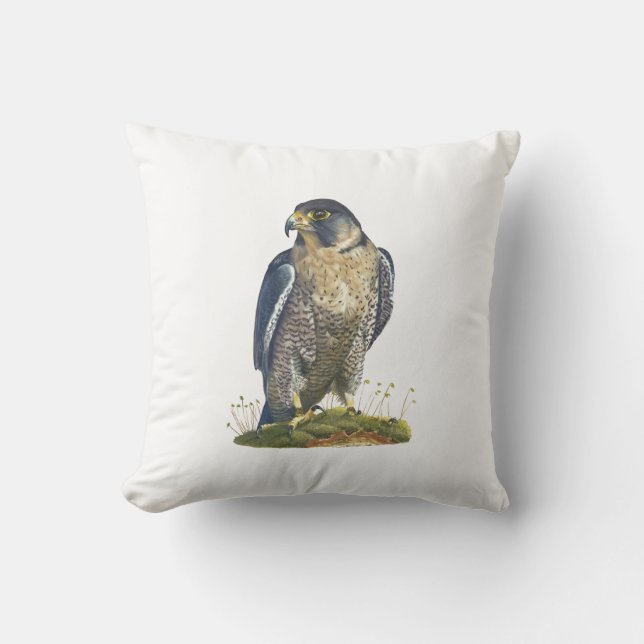 Striking Peregrine Falcon cushion (Front)