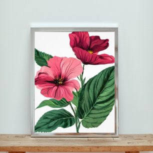 Striking Pink Hibiscus Flowers Photo Print
