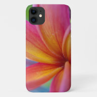 Striking Pink Tropical Plumeria Flower