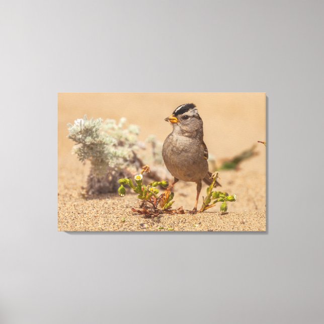 Striking Pose Canvas Print (Front)