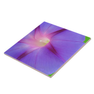 Striking Purple Floral  Tile