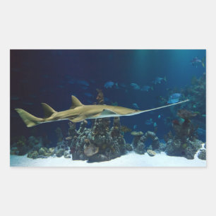 Striking Sawfish Sticker