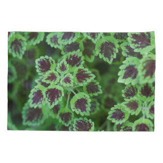 Striking Variegated Coleus Foliage Pillowcase